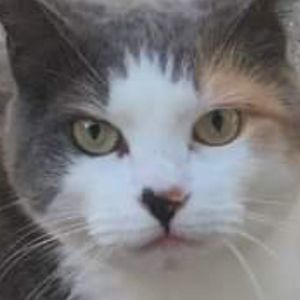 Meet your Posher, Bette